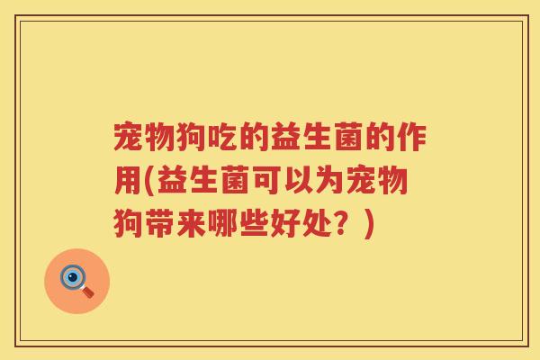 宠物狗吃的益生菌的作用(益生菌可以为宠物狗带来哪些好处？)