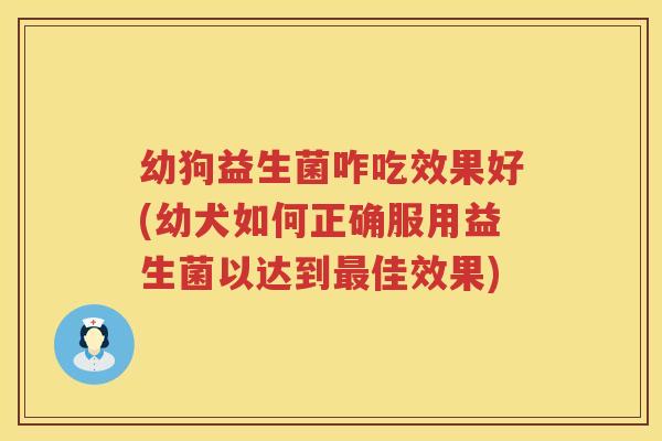 幼狗益生菌咋吃效果好(幼犬如何正确服用益生菌以达到最佳效果)
