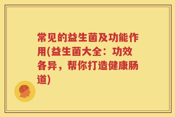 常见的益生菌及功能作用(益生菌大全：功效各异，帮你打造健康肠道)