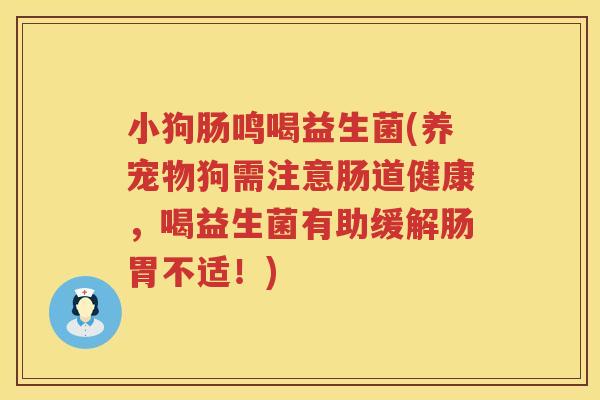 小狗肠鸣喝益生菌(养宠物狗需注意肠道健康，喝益生菌有助缓解肠胃不适！)