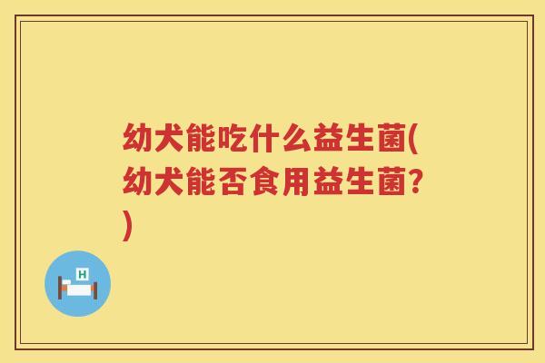 幼犬能吃什么益生菌(幼犬能否食用益生菌？)