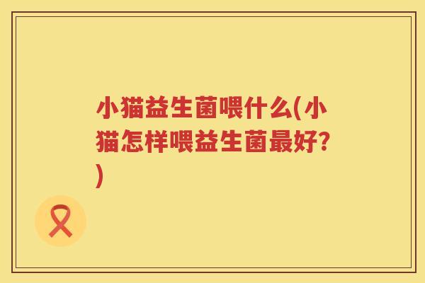 小猫益生菌喂什么(小猫怎样喂益生菌最好？)