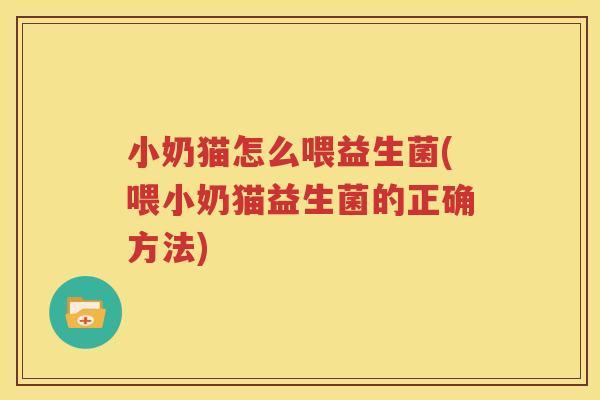 小奶猫怎么喂益生菌(喂小奶猫益生菌的正确方法)