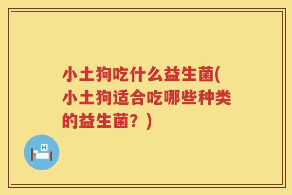 小土狗吃什么益生菌(小土狗适合吃哪些种类的益生菌？)
