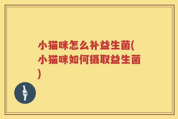 小猫咪怎么补益生菌(小猫咪如何摄取益生菌)
