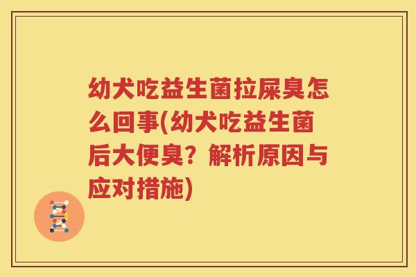 幼犬吃益生菌拉屎臭怎么回事(幼犬吃益生菌后大便臭？解析原因与应对措施)