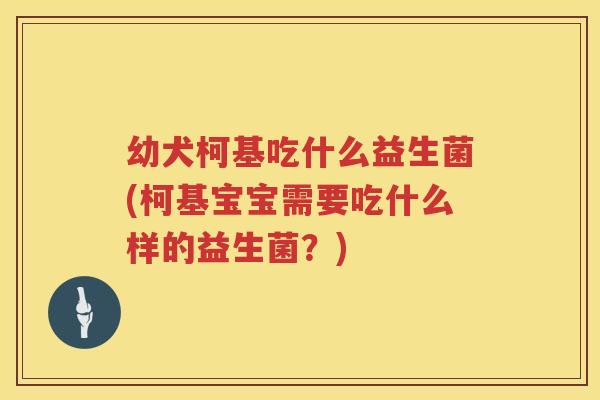 幼犬柯基吃什么益生菌(柯基宝宝需要吃什么样的益生菌？)