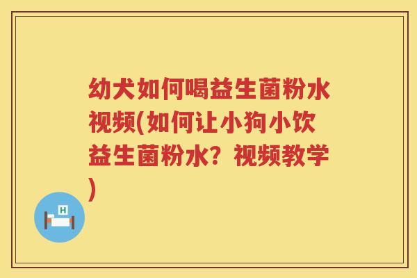 幼犬如何喝益生菌粉水视频(如何让小狗小饮益生菌粉水？视频教学)