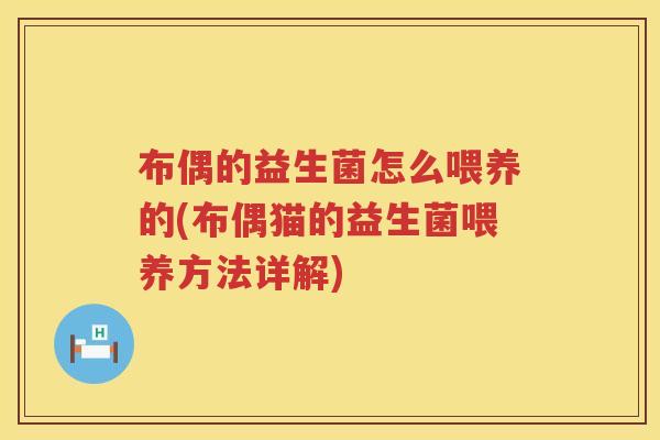 布偶的益生菌怎么喂养的(布偶猫的益生菌喂养方法详解)