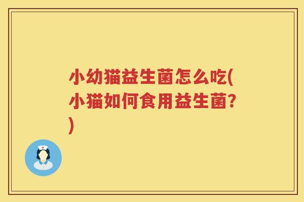 小幼猫益生菌怎么吃(小猫如何食用益生菌？)