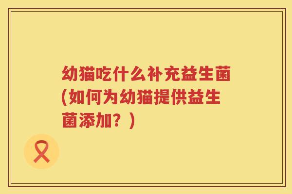 幼猫吃什么补充益生菌(如何为幼猫提供益生菌添加？)