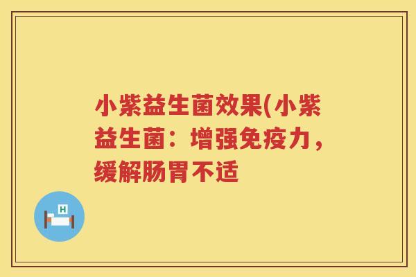 小紫益生菌效果(小紫益生菌：增强免疫力，缓解肠胃不适