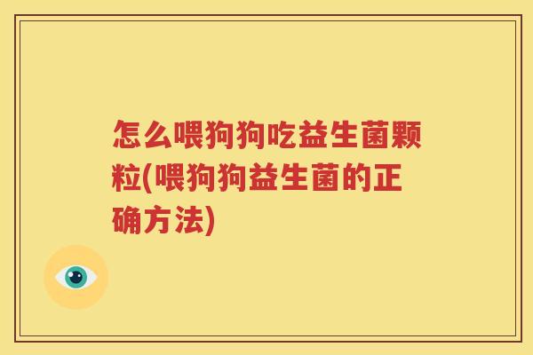 怎么喂狗狗吃益生菌颗粒(喂狗狗益生菌的正确方法)