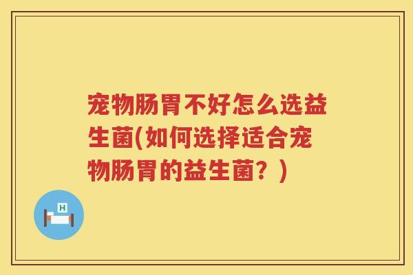 宠物肠胃不好怎么选益生菌(如何选择适合宠物肠胃的益生菌？)