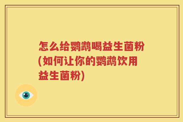 怎么给鹦鹉喝益生菌粉(如何让你的鹦鹉饮用益生菌粉)
