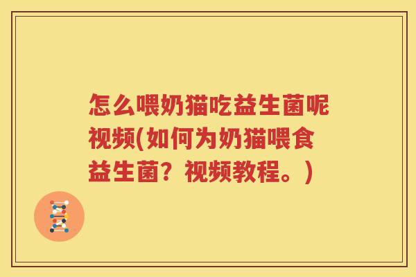 怎么喂奶猫吃益生菌呢视频(如何为奶猫喂食益生菌？视频教程。)