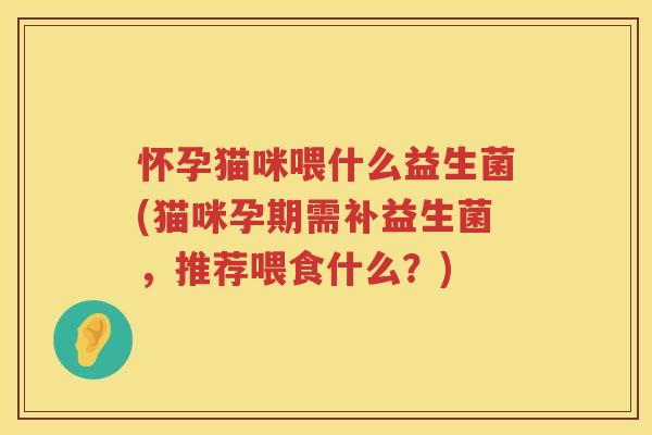怀孕猫咪喂什么益生菌(猫咪孕期需补益生菌，推荐喂食什么？)
