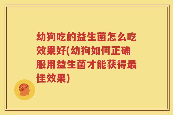 幼狗吃的益生菌怎么吃效果好(幼狗如何正确服用益生菌才能获得最佳效果)