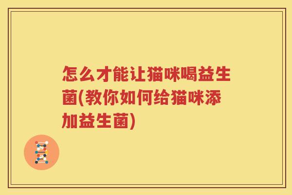 怎么才能让猫咪喝益生菌(教你如何给猫咪添加益生菌)
