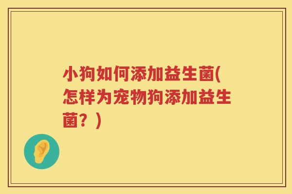 小狗如何添加益生菌(怎样为宠物狗添加益生菌？)