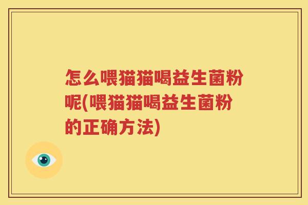 怎么喂猫猫喝益生菌粉呢(喂猫猫喝益生菌粉的正确方法)