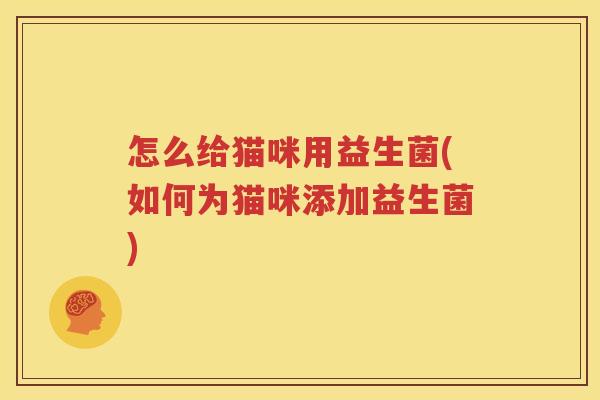 怎么给猫咪用益生菌(如何为猫咪添加益生菌)