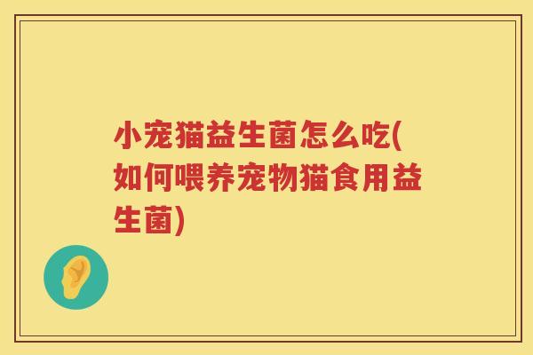 小宠猫益生菌怎么吃(如何喂养宠物猫食用益生菌)