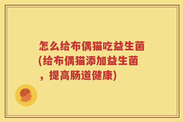 怎么给布偶猫吃益生菌(给布偶猫添加益生菌，提高肠道健康)