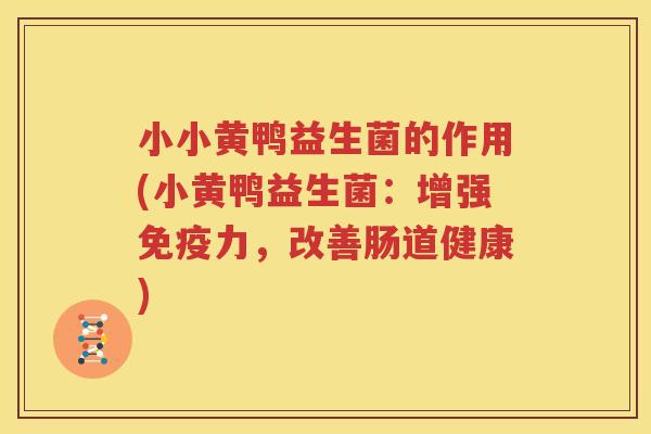 小小黄鸭益生菌的作用(小黄鸭益生菌：增强免疫力，改善肠道健康)