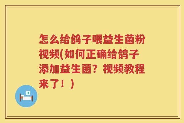 怎么给鸽子喂益生菌粉视频(如何正确给鸽子添加益生菌？视频教程来了！)