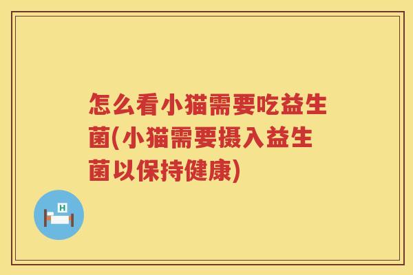 怎么看小猫需要吃益生菌(小猫需要摄入益生菌以保持健康)