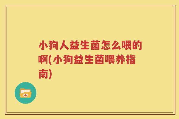 小狗人益生菌怎么喂的啊(小狗益生菌喂养指南)
