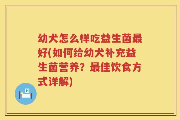 幼犬怎么样吃益生菌最好(如何给幼犬补充益生菌营养？最佳饮食方式详解)