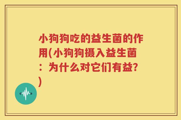 小狗狗吃的益生菌的作用(小狗狗摄入益生菌：为什么对它们有益？)