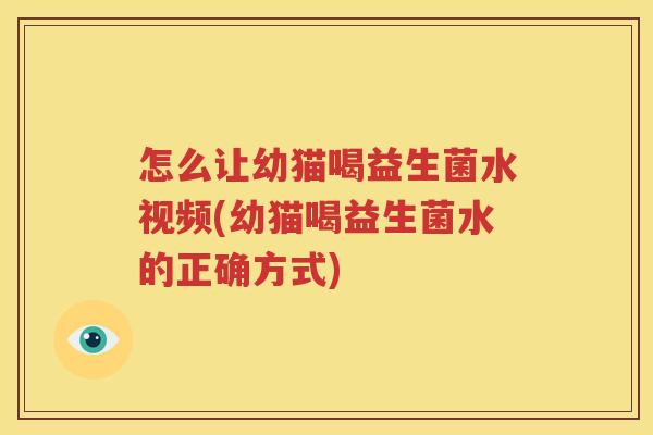 怎么让幼猫喝益生菌水视频(幼猫喝益生菌水的正确方式)
