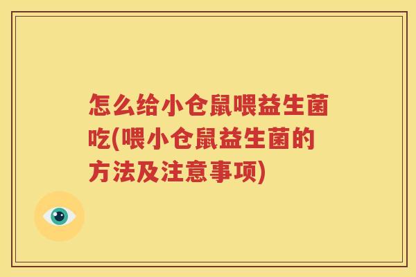 怎么给小仓鼠喂益生菌吃(喂小仓鼠益生菌的方法及注意事项)