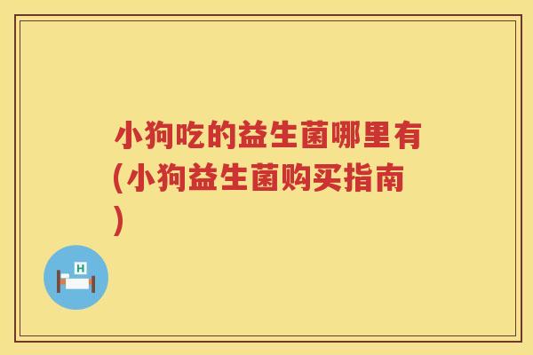 小狗吃的益生菌哪里有(小狗益生菌购买指南)