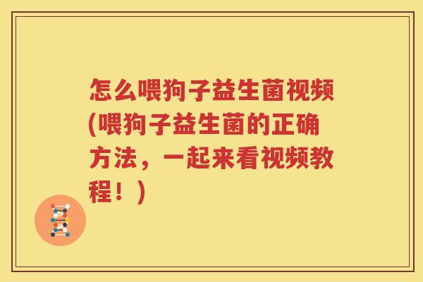 怎么喂狗子益生菌视频(喂狗子益生菌的正确方法，一起来看视频教程！)