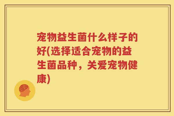 宠物益生菌什么样子的好(选择适合宠物的益生菌品种，关爱宠物健康)