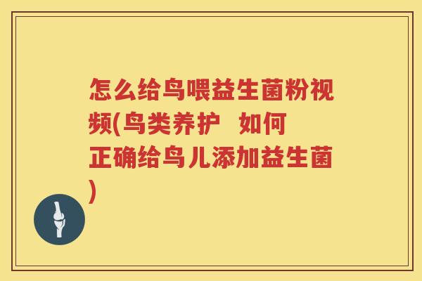 怎么给鸟喂益生菌粉视频(鸟类养护  如何正确给鸟儿添加益生菌)