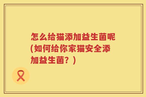怎么给猫添加益生菌呢(如何给你家猫安全添加益生菌？)