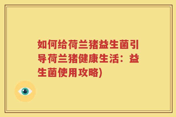 如何给荷兰猪益生菌引导荷兰猪健康生活：益生菌使用攻略)
