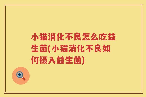 小猫消化不良怎么吃益生菌(小猫消化不良如何摄入益生菌)