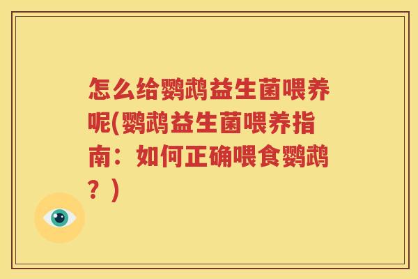 怎么给鹦鹉益生菌喂养呢(鹦鹉益生菌喂养指南：如何正确喂食鹦鹉？)
