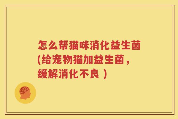 怎么帮猫咪消化益生菌(给宠物猫加益生菌，缓解消化不良 )