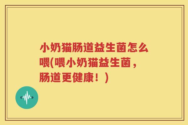 小奶猫肠道益生菌怎么喂(喂小奶猫益生菌，肠道更健康！)