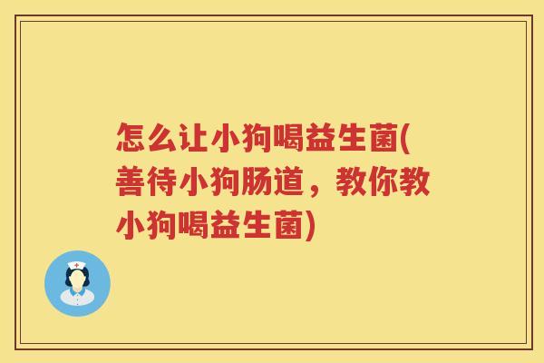 怎么让小狗喝益生菌(善待小狗肠道，教你教小狗喝益生菌)
