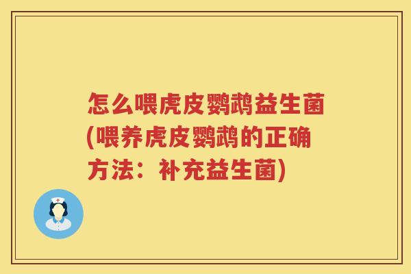 怎么喂虎皮鹦鹉益生菌(喂养虎皮鹦鹉的正确方法：补充益生菌)
