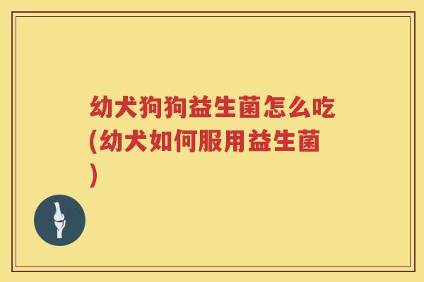 幼犬狗狗益生菌怎么吃(幼犬如何服用益生菌)