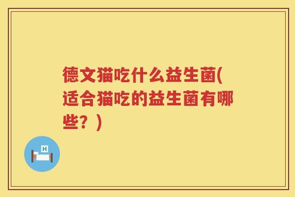 德文猫吃什么益生菌(适合猫吃的益生菌有哪些？)